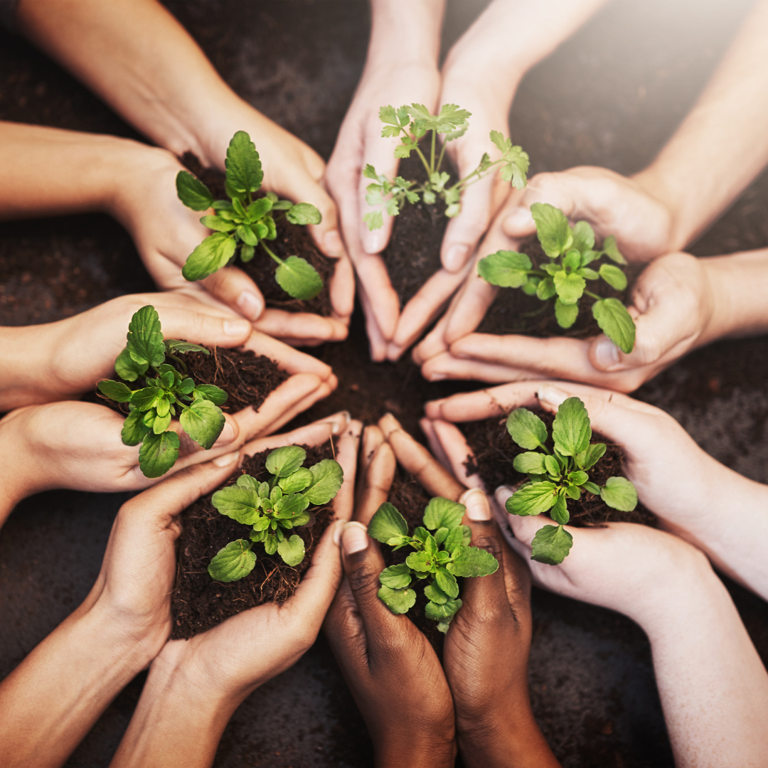 Hands of people each holding in their cupped hands soil with a sprouting plant. The people's cupped hands are touching in a circle creating a star-like form.