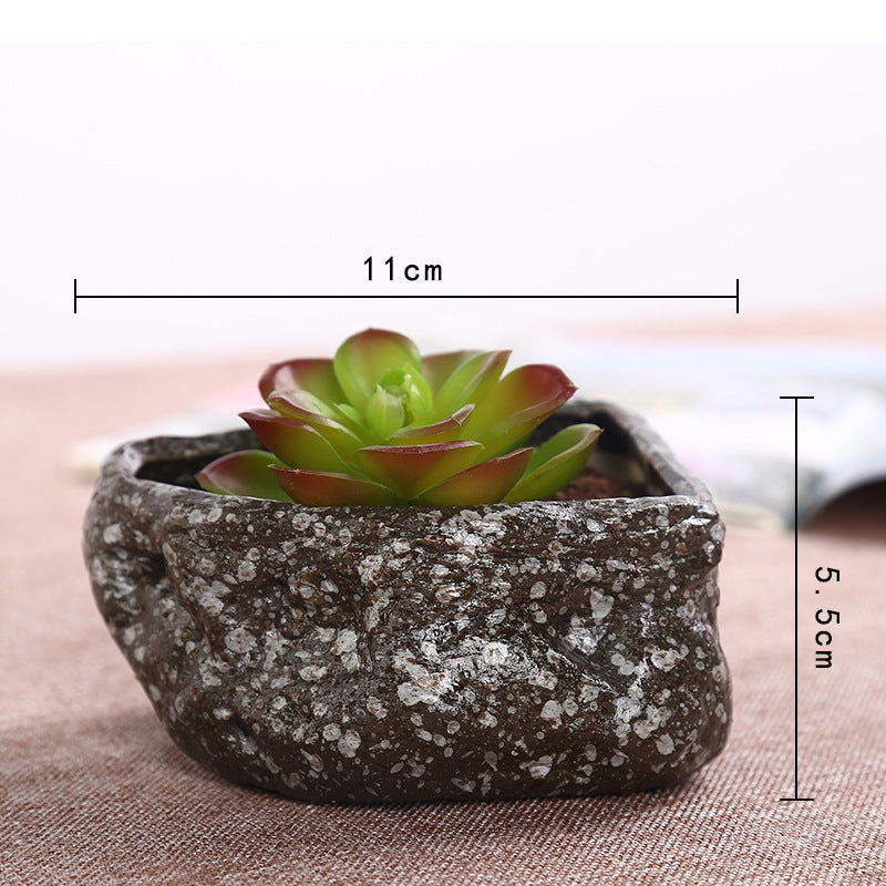 Stone Succulent Flower Pot, Assorted