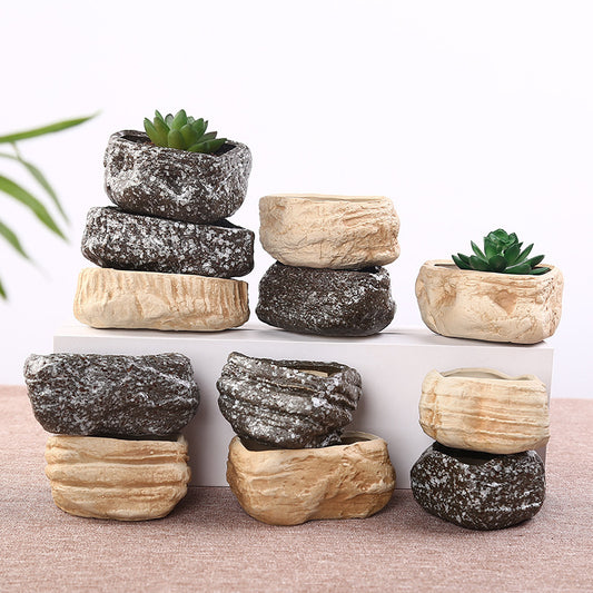 Stone Succulent Flower Pot, Assorted